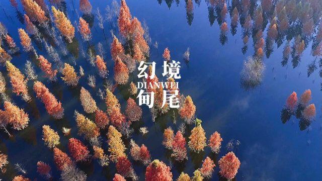 超三国无双6