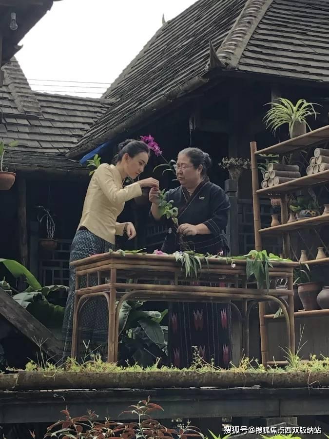三小只僵尸的游戏时间2