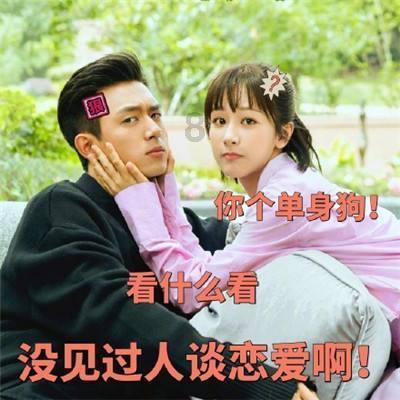 破碎的动物图形3