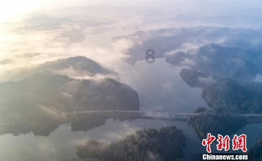 约翰逊建议哈兰德趁早转型，格里利什的踢法接近小白